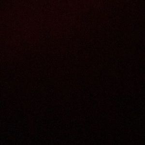 Meet your Posher, Bailey